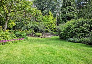 Optimiser l'expérience du jardin à Saumont